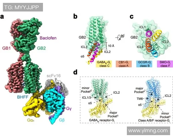 足球球星游戏版权争夺战揭秘 全球顶级联赛与俱乐部合作模式分析 足球球星游戏版权争夺战揭秘 全球顶级联赛与俱乐部合作模式分析